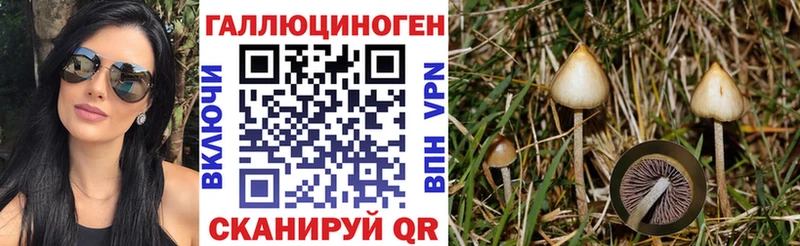 Галлюциногенные грибы Psilocybe Бокситогорск